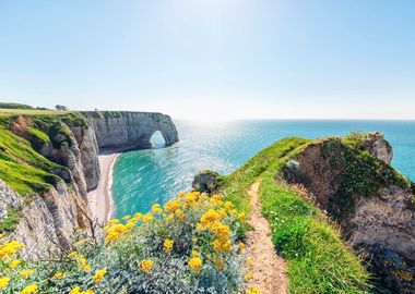 Normandy Landscape