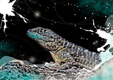 Lizard on stars