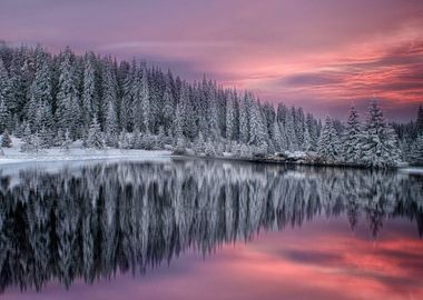 Winter Fairytale