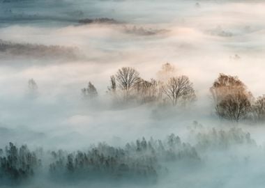 Winter fog