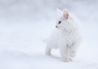 White as Snow