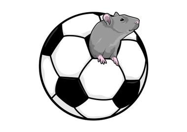 Rat Soccer Sports