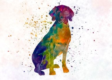 Polish Hound in watercolor