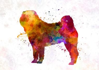 Shar Pei in watercolor