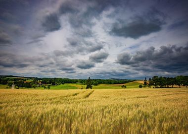 Landscape, meadow, Poland