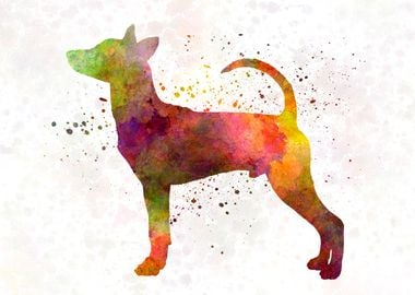 Taiwan Dog in watercolor