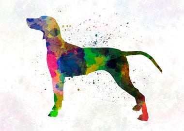 Weimaraner in watercolor