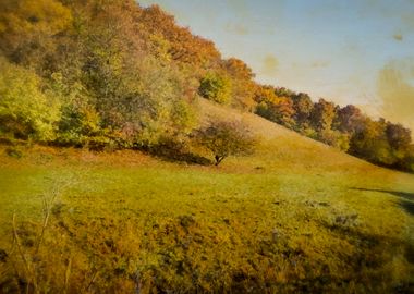 Vintage countryside autumn