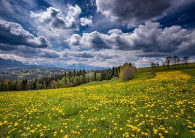 Sping mountains, Poland