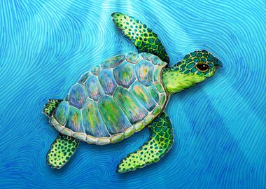 Swimming turtle