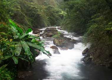 Beautiful streams Taiwan