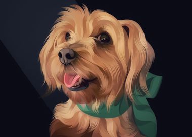 Havanese