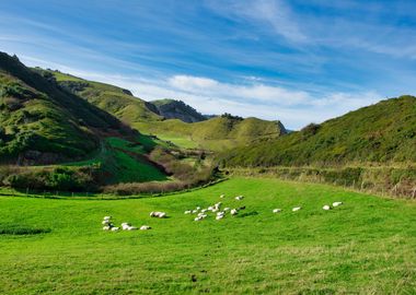 Green landscape