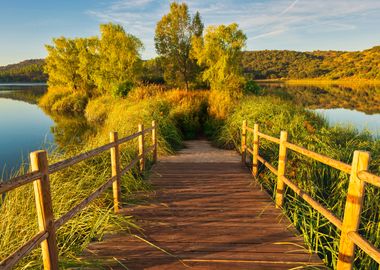 Wooden bridge on the lake