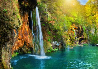 Waterfall in the Forest 