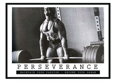 Perseverance