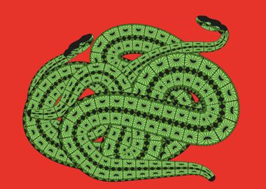 Slithering Green Snakes