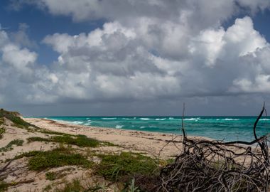 Natural Beach in Sian Kaan