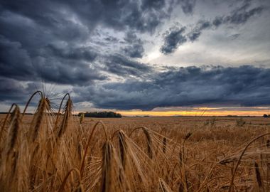 Rural landscape, Poland