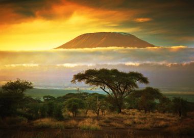 Mount Kilimanjaro Nature