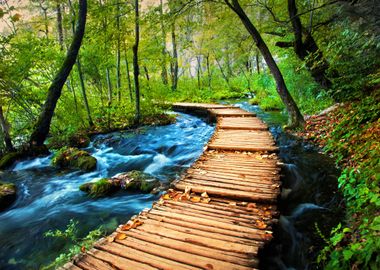 Waterfall in the Forest