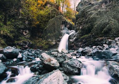 Waterfall in Forest Nature