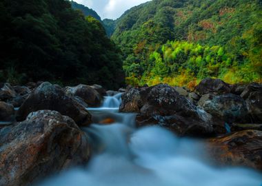 Waterfall in Forest Nature