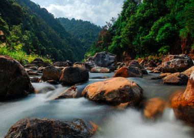 Waterfall in Forest Nature