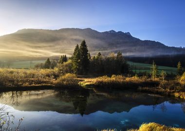 Mountains in Forest Nature