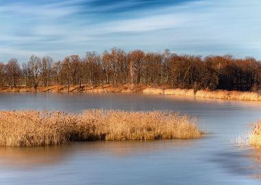 Autumn trees, lake, Poland