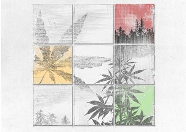 Weed Colors