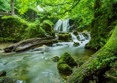 Waterfall in Forest Nature