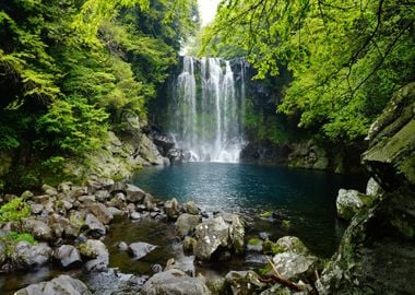 Waterfall in Forest Nature