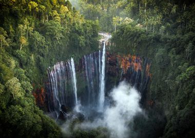 Waterfall in Forest Nature