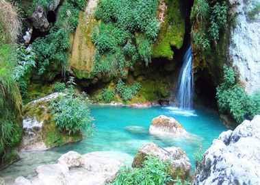 Waterfall in Forest Nature