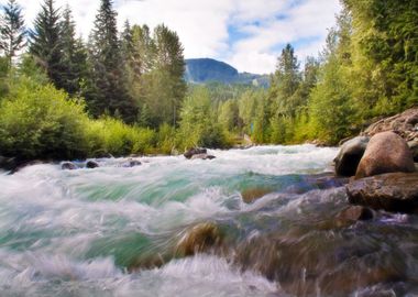 Waterfall in Forest Nature