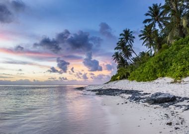 Sandy Palm Sea Beach