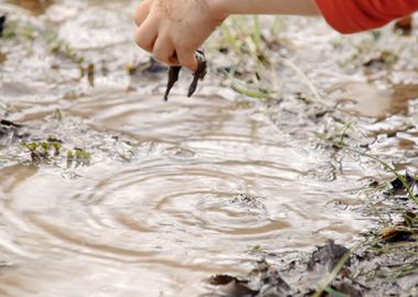 Mud pond play detail rock