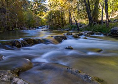 Waterfall in Forest Nature