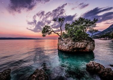 Rocky Sea Beach