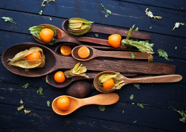 Spoon Physalis