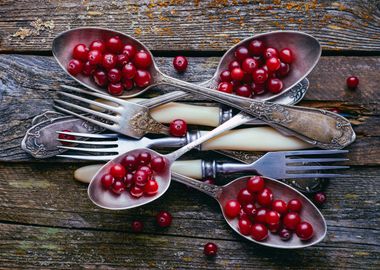 Cranberry Spoon