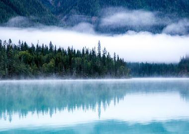 Foggy Forest at Lake