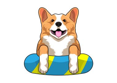 Welsh Corgi Swimming