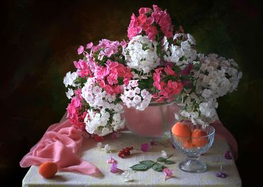 White phlox and apricots