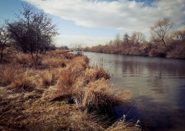 Vintage riverside landscap