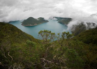 Fog Island