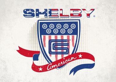 Shelby Shield