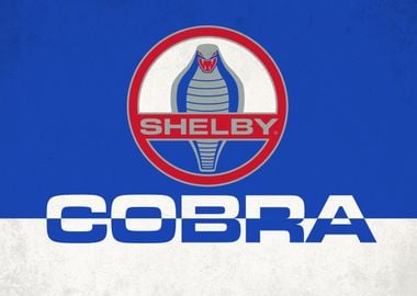 Cobra Shelby