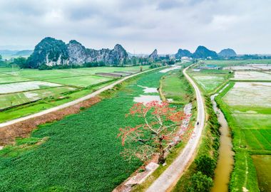 Nice countryside landscape